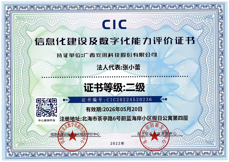 CIC信息化建设及数字化能力评价证书二级